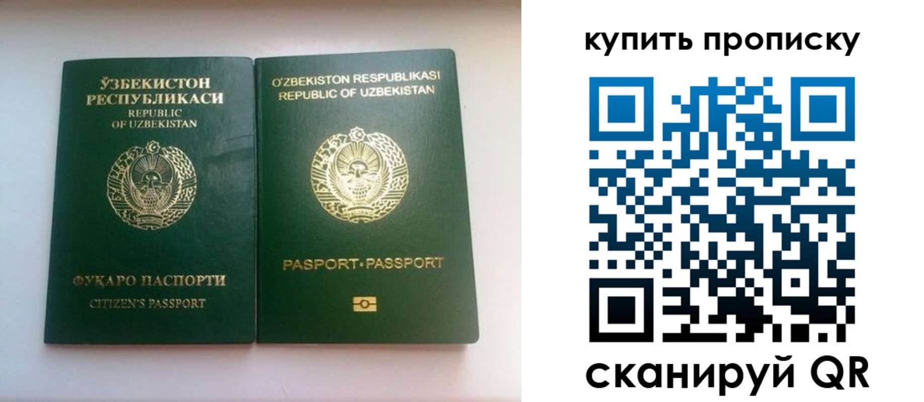 временная прописка в Сосновке